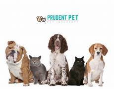 Prudent Pet Insurance: Tailored Coverage for Your Furry Friends